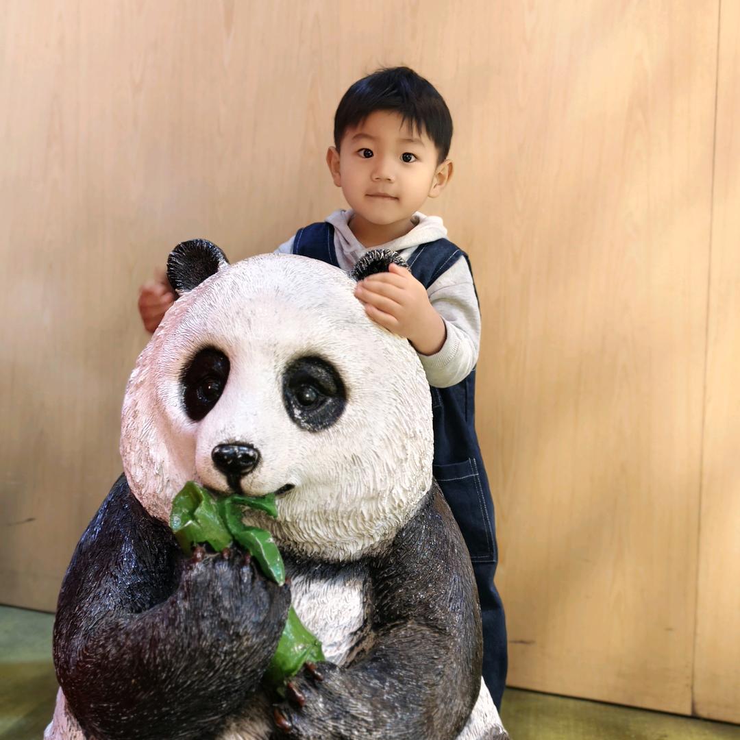 子恒👦🏻