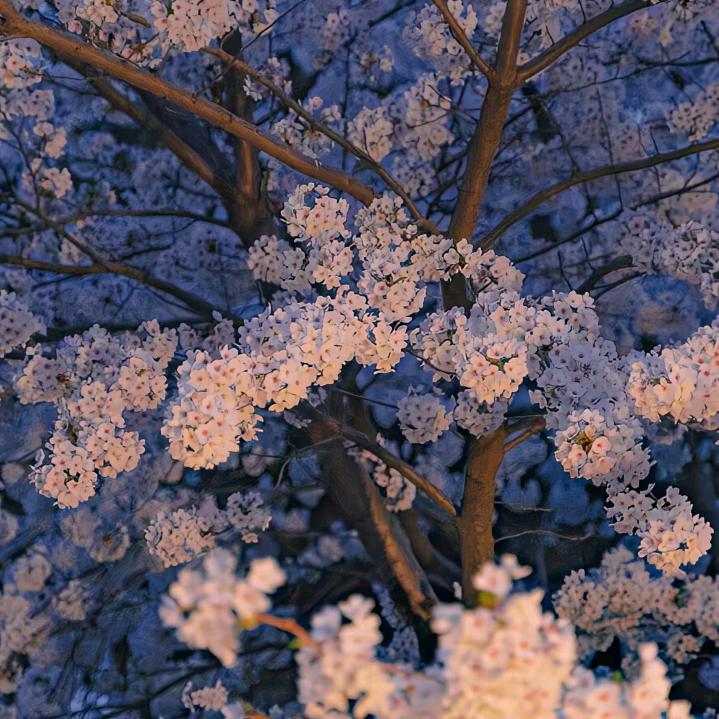 小醒在放晴