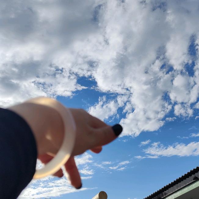 一杯茉莉🌸🍵