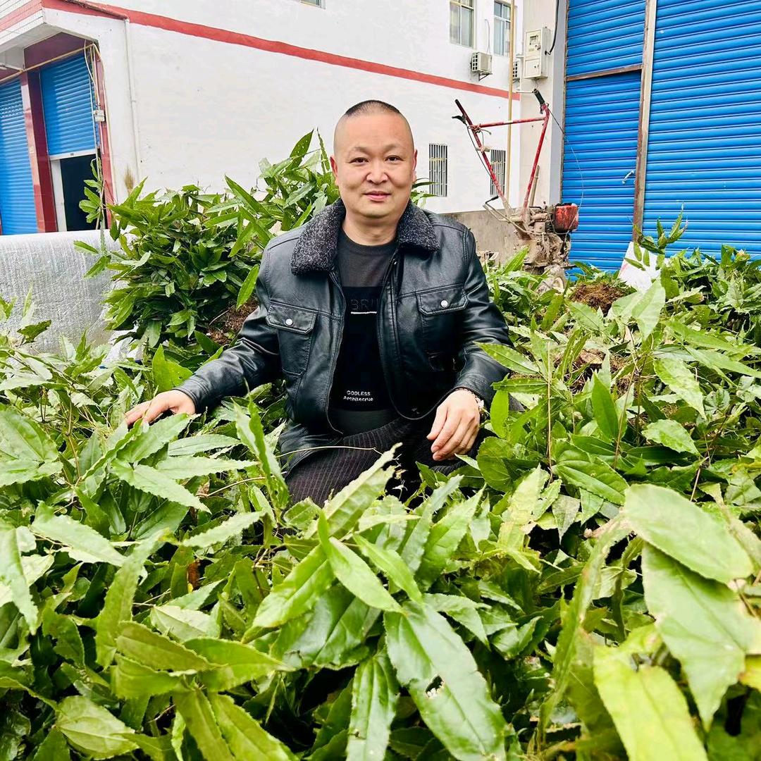 老徐山货