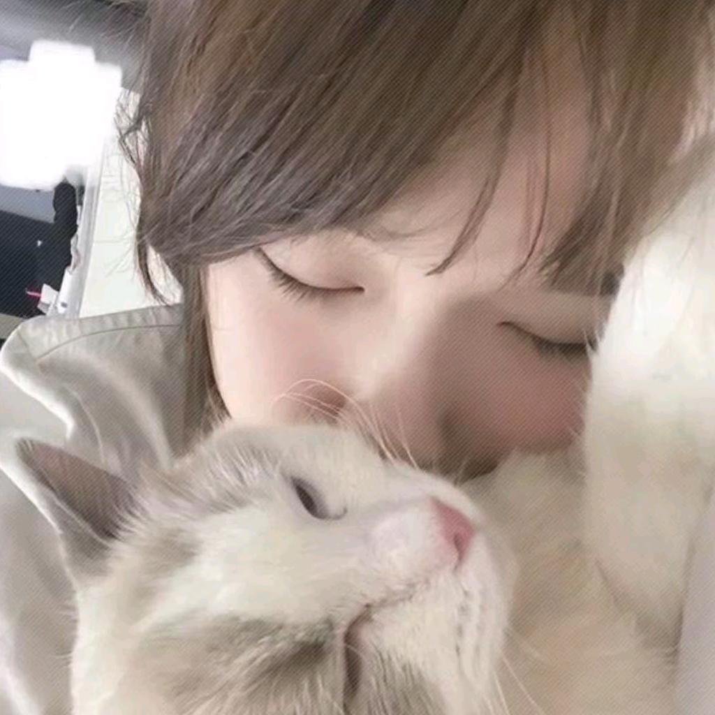 悲伤小肥羊⑉꒦ິ^꒦ິ⑉