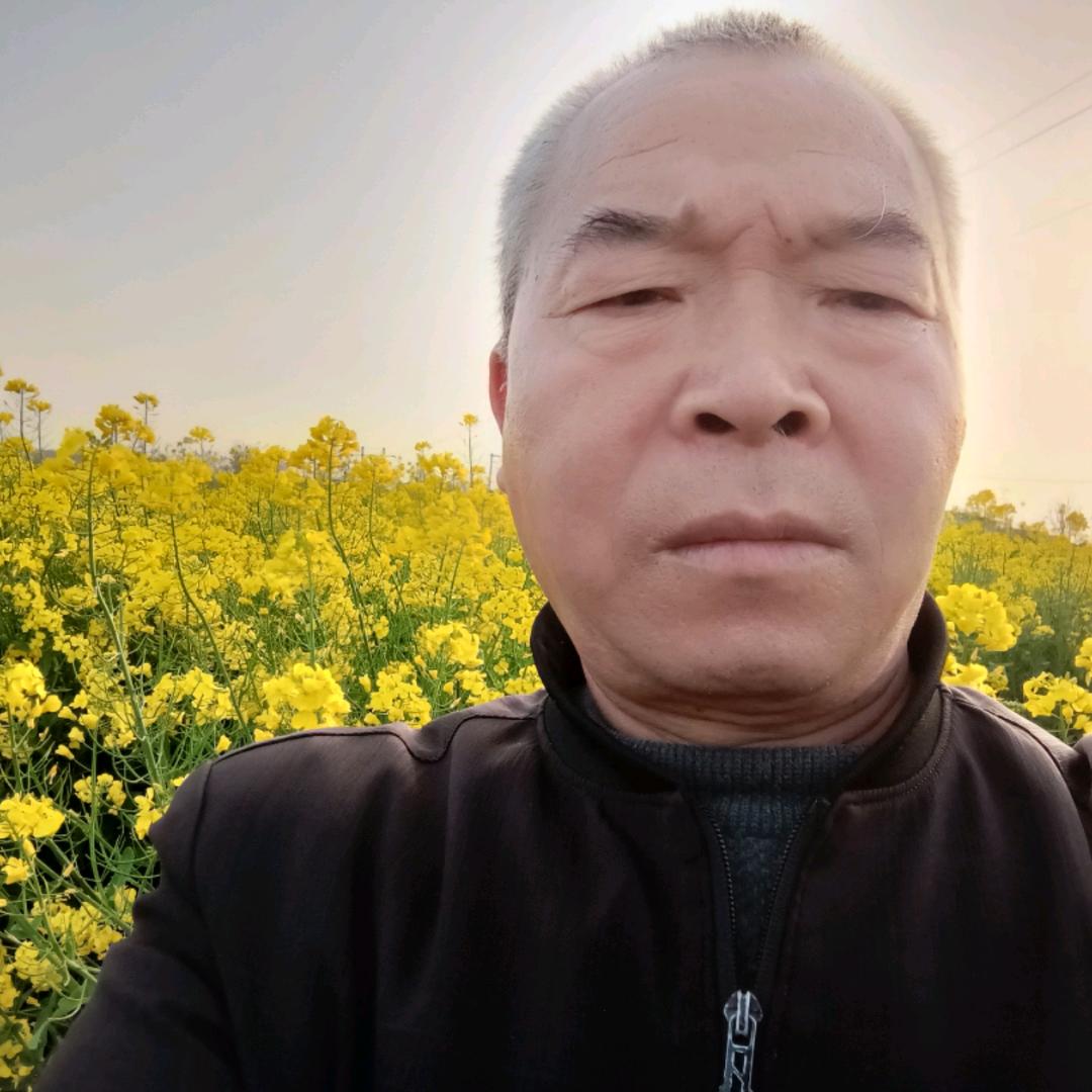 王明放
