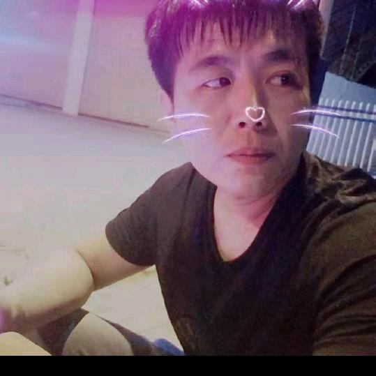 陈陈....树