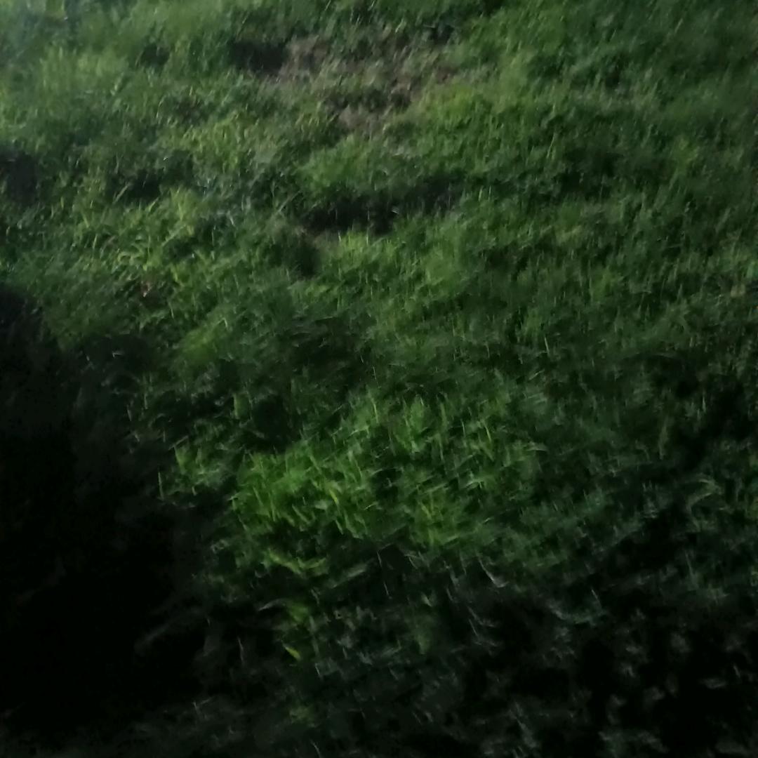 农村帅老头