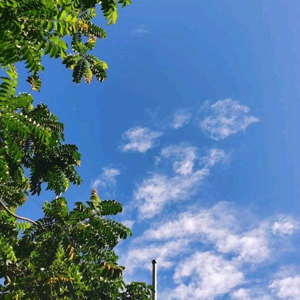 阳光