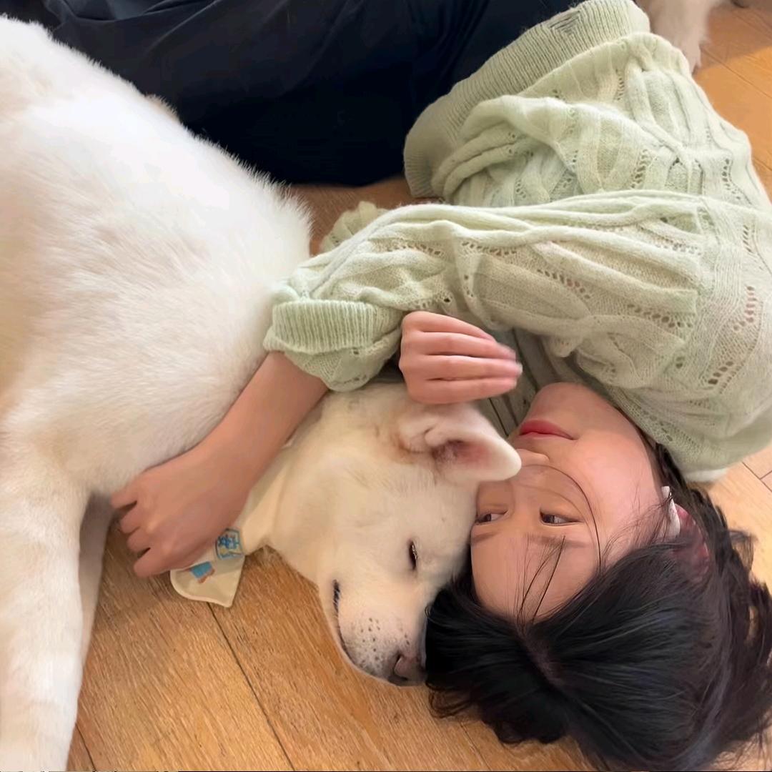 你也爱吃八大碗粉条吗