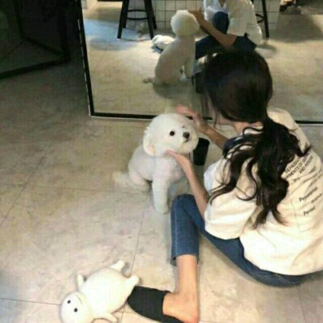 地方风格吧