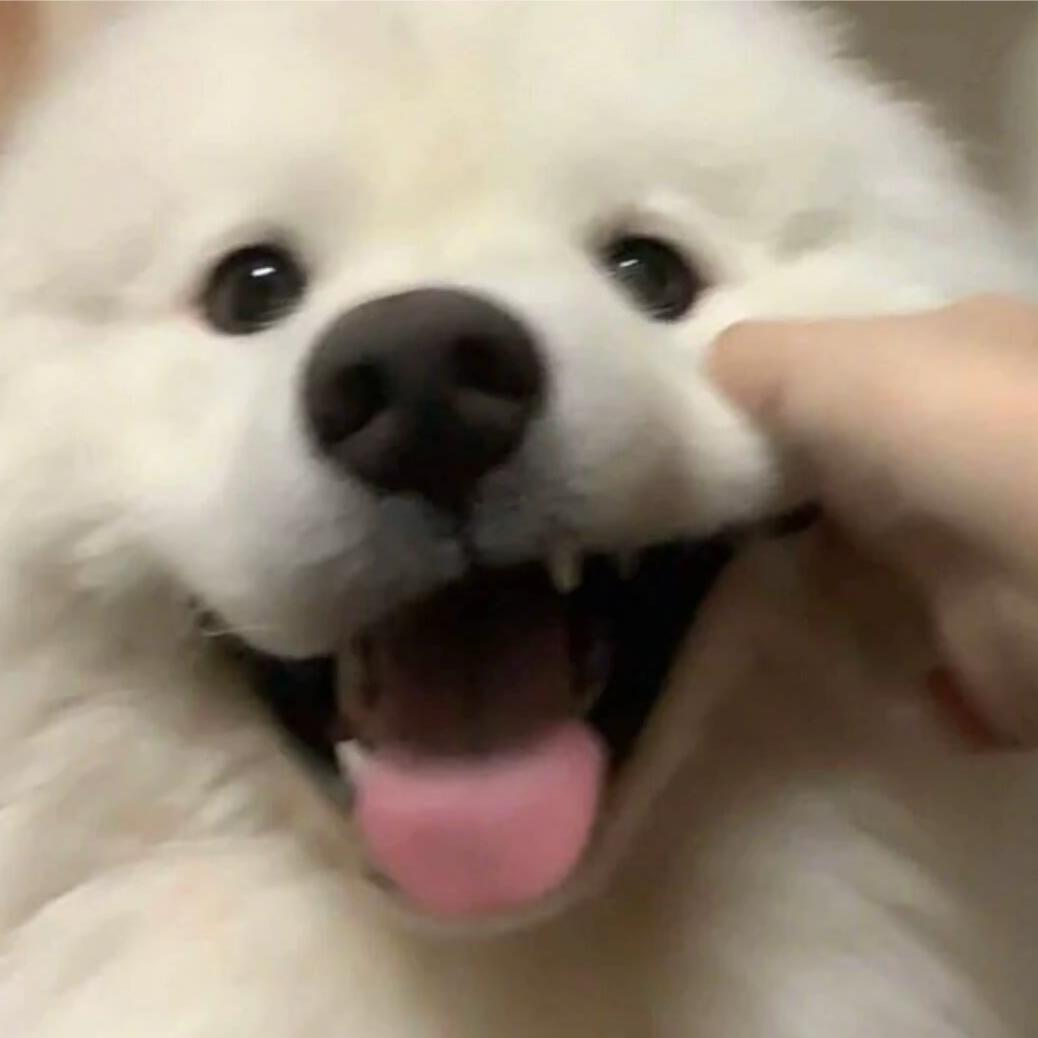∑