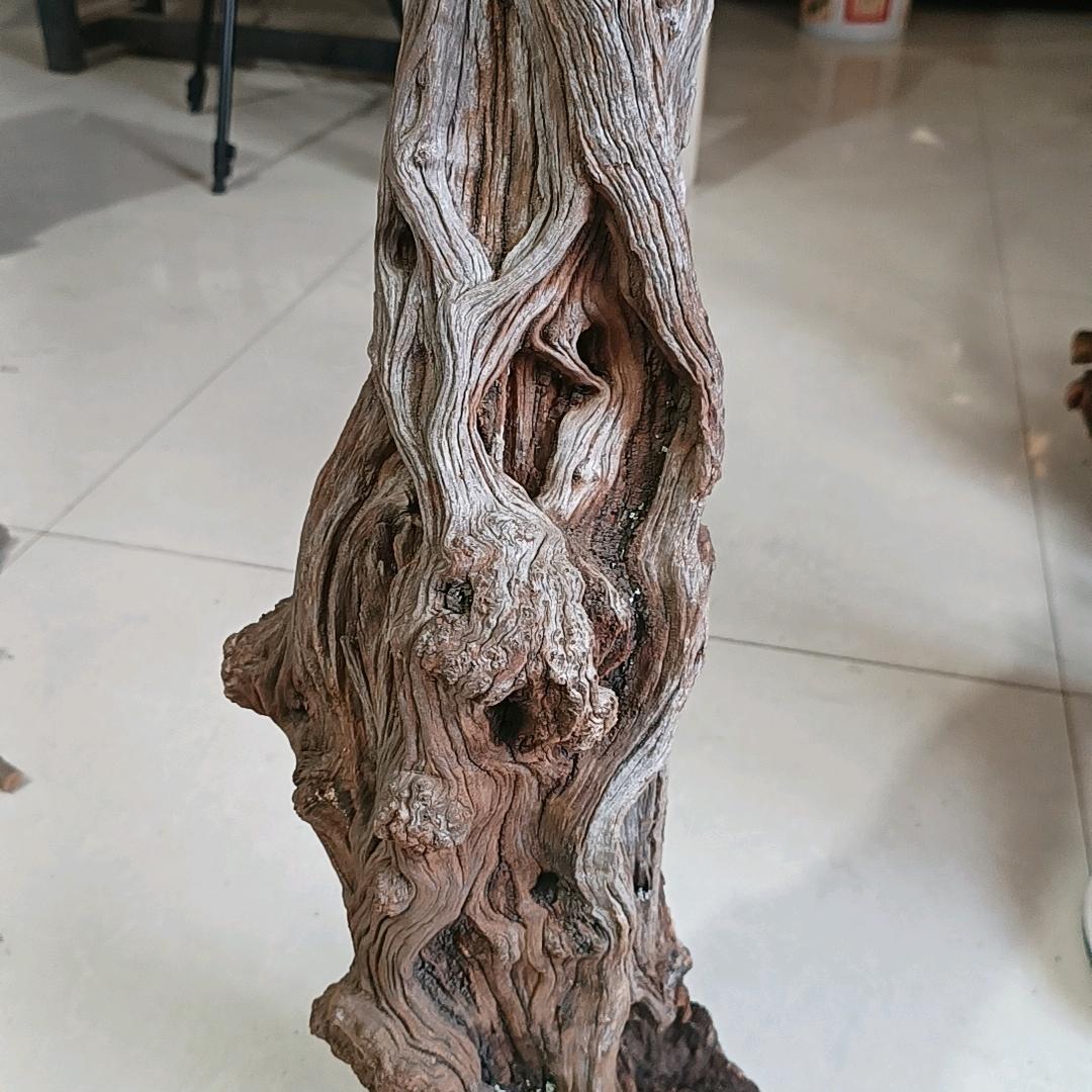 纹理世家