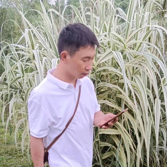 冰临华夏叶生WEI你