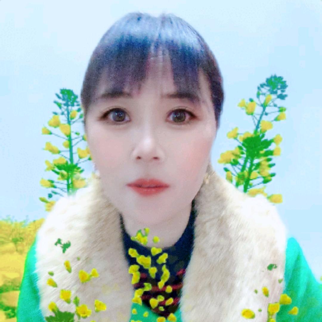 年年顺心