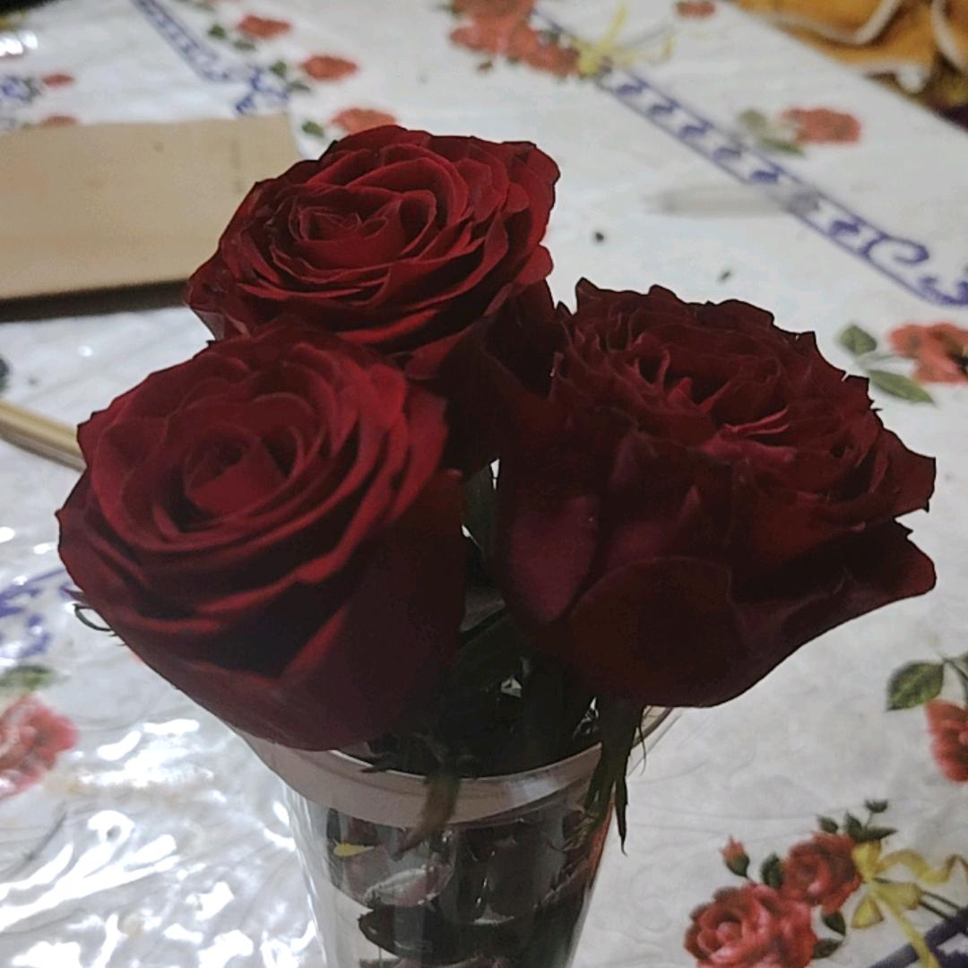 💞我爱你💞541