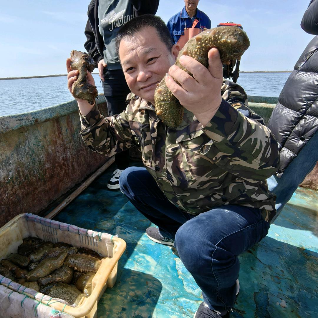 老参农源头海参