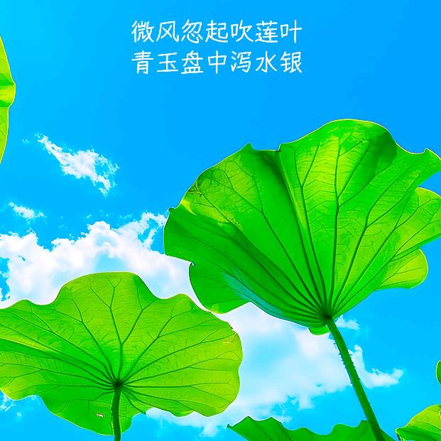 时易讲数资