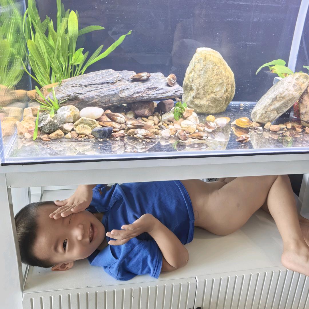 从凌开始