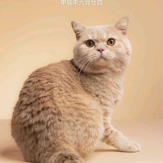 冷
