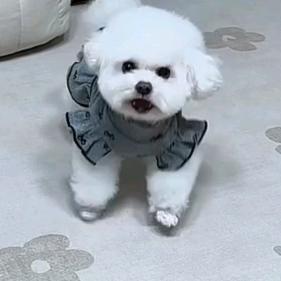 糖果