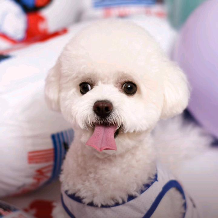 QQ