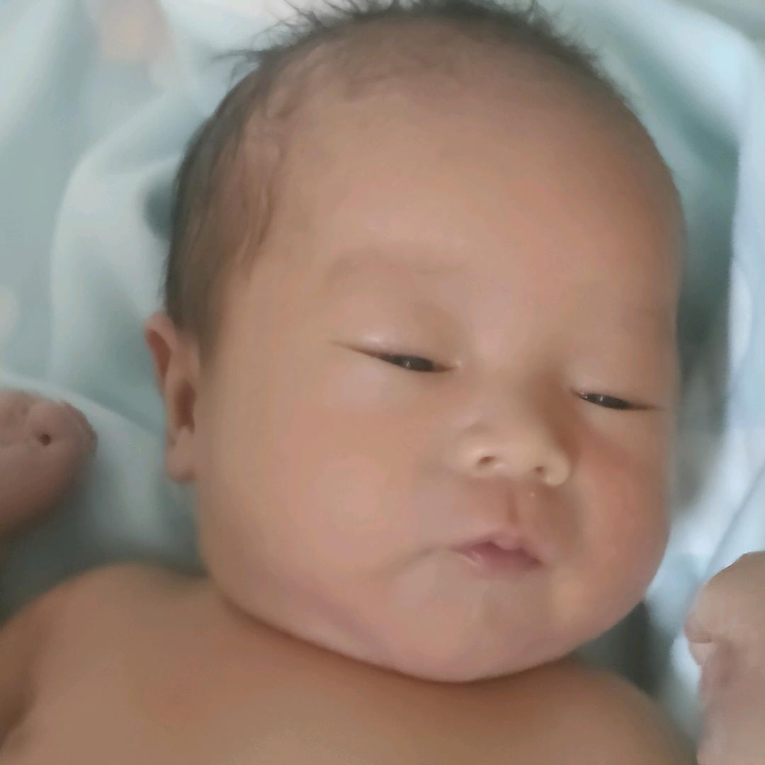我家有个龙宝宝
