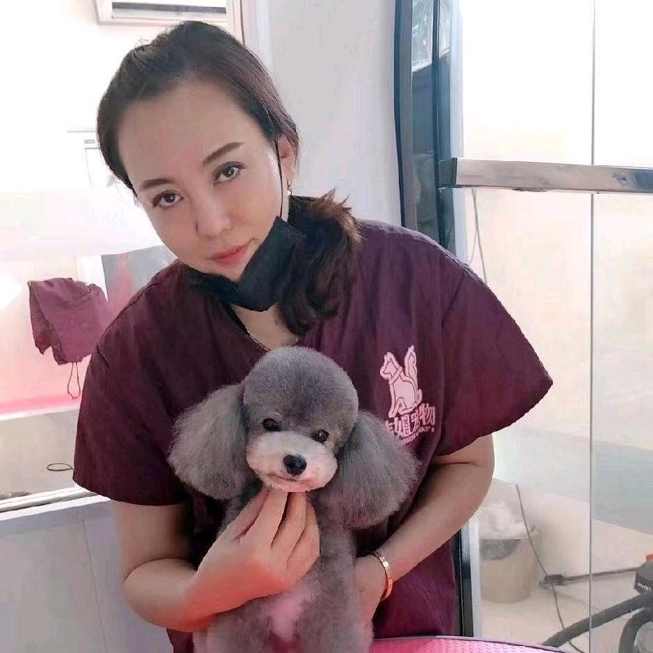 韩姐宠物碧水家园店