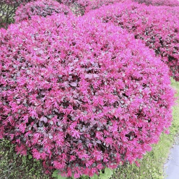 美好的明天8013🍼