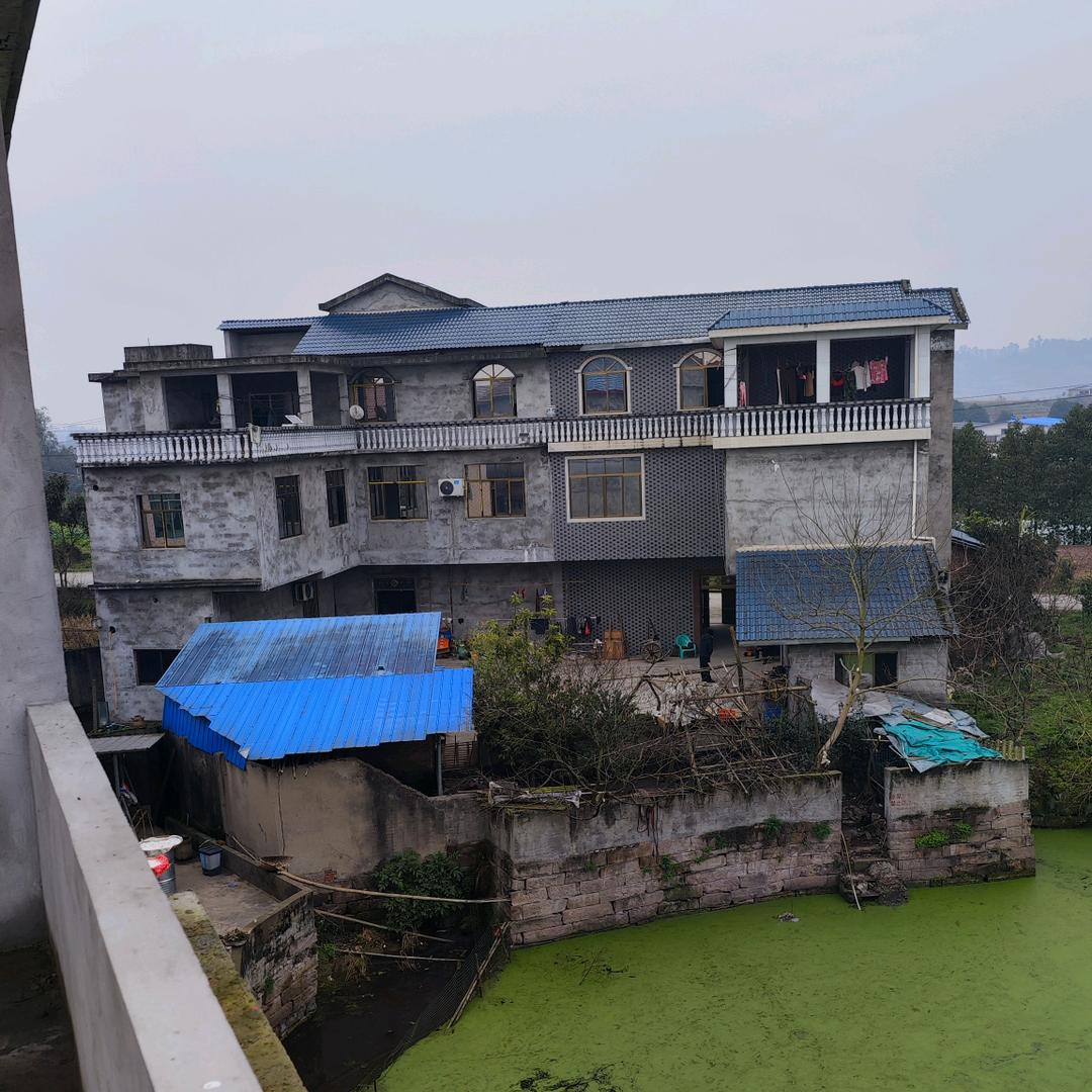 一切皆是浮云805