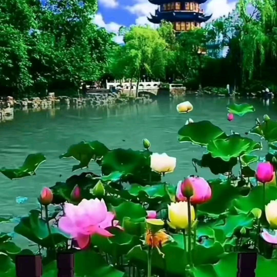 清风月影