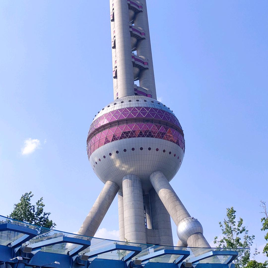 是风就该自由