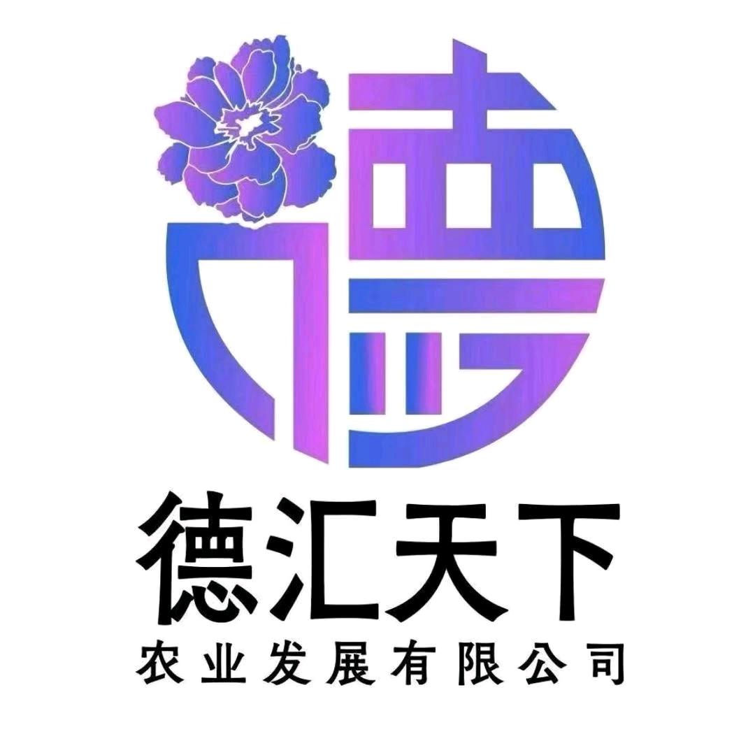 德汇天下—任金玲