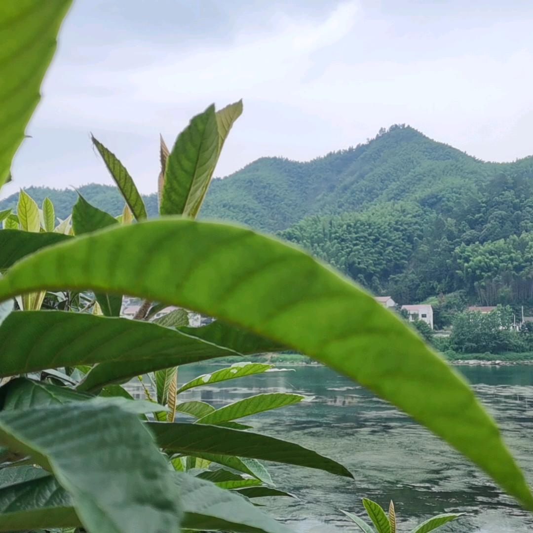 用户8120623277772