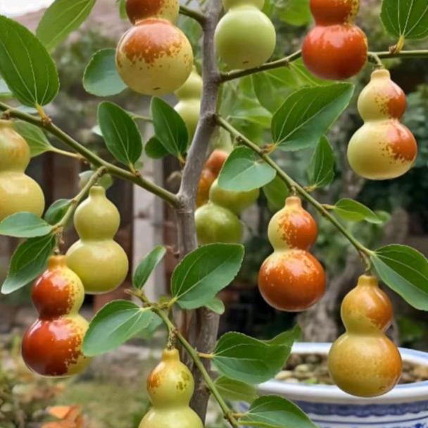 等风等雨也等你