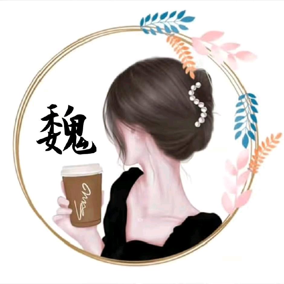 魏风飘逸