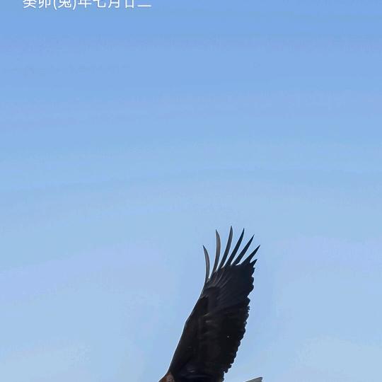 ꧁꧂随缘꫞꯭