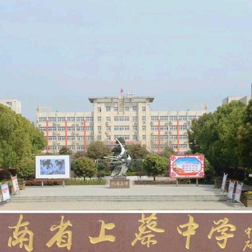 上中冬冬老师
