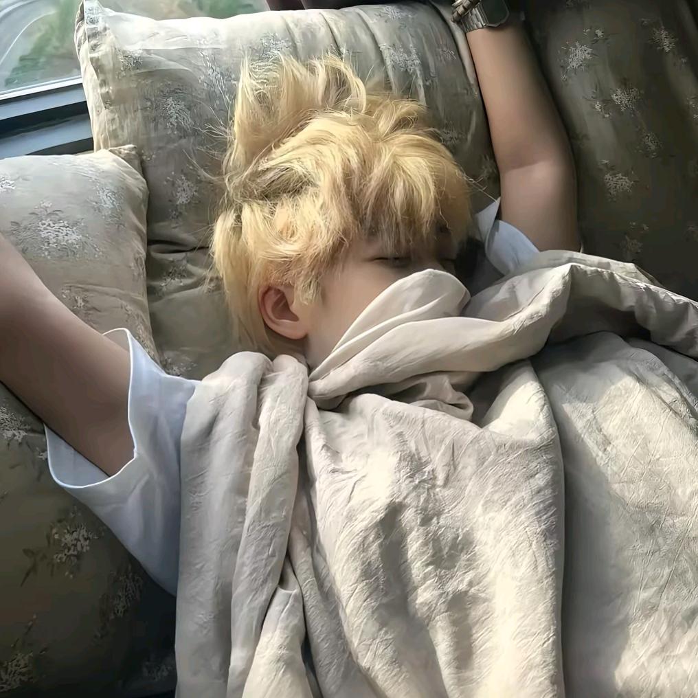 醉岛-小豆(颜值版)