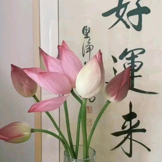 顺心意