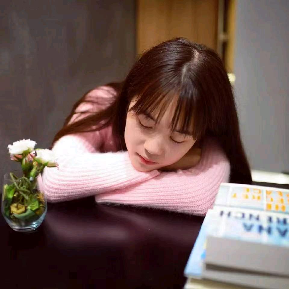 小泡芙旅游记🎬