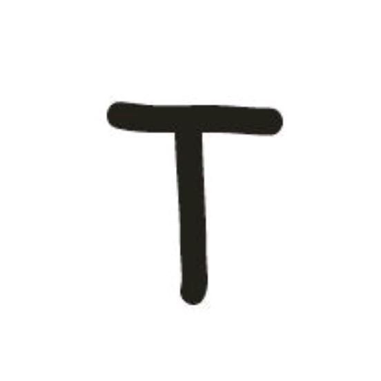 弦迷老T