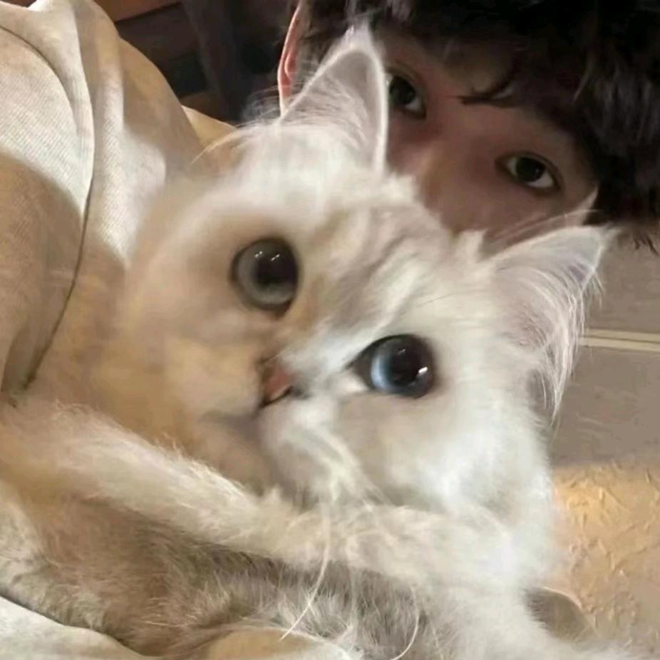 永远爱种花家🇨🇳