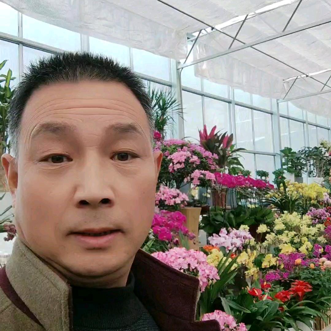 心想事成：