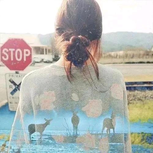 🌸冰拿铁.🌸