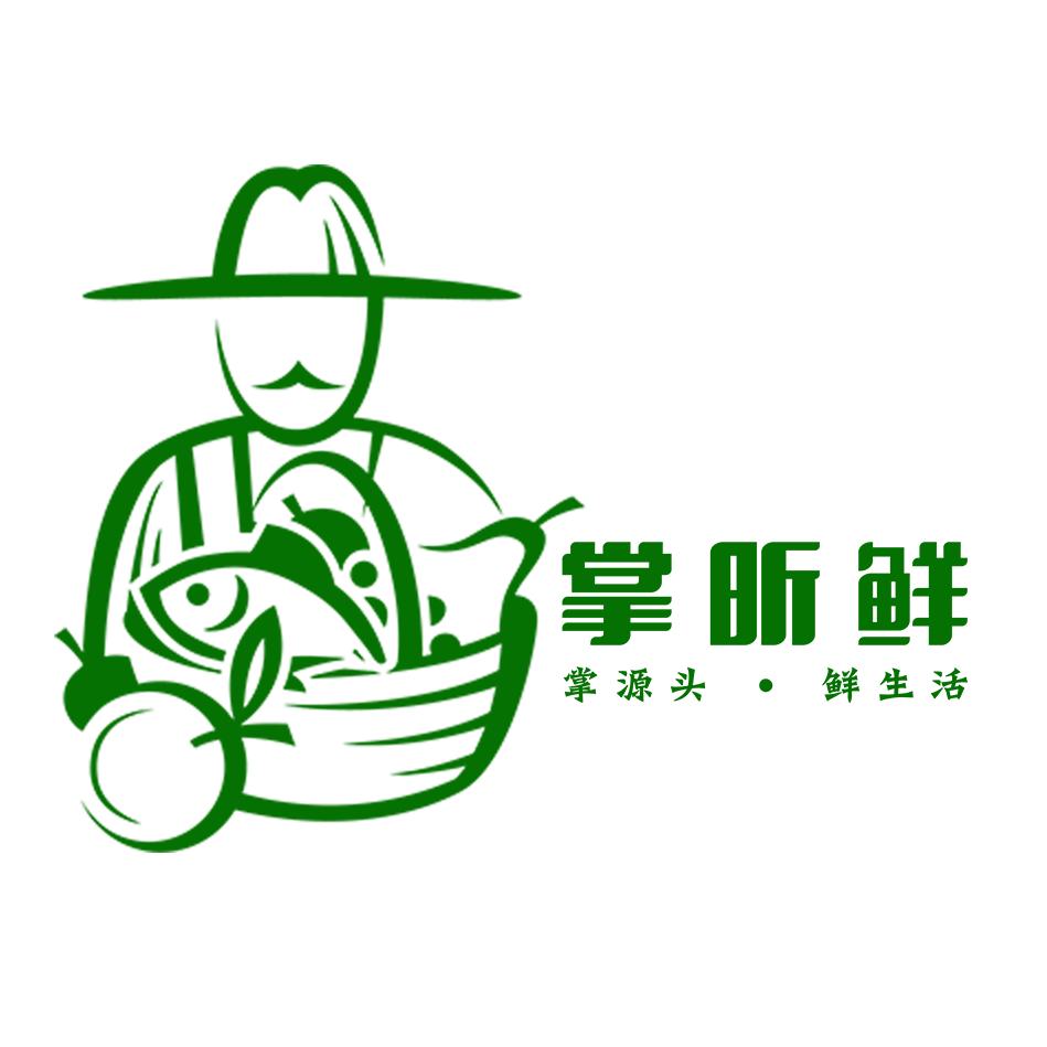 掌昕生鲜专营店