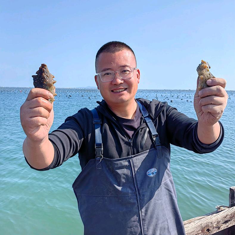 这片海正宗大连海参