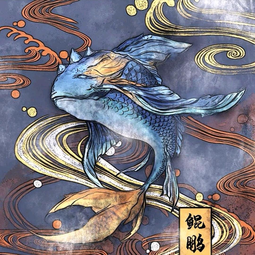 鲲 鹏🎣渔 具 户外 展示