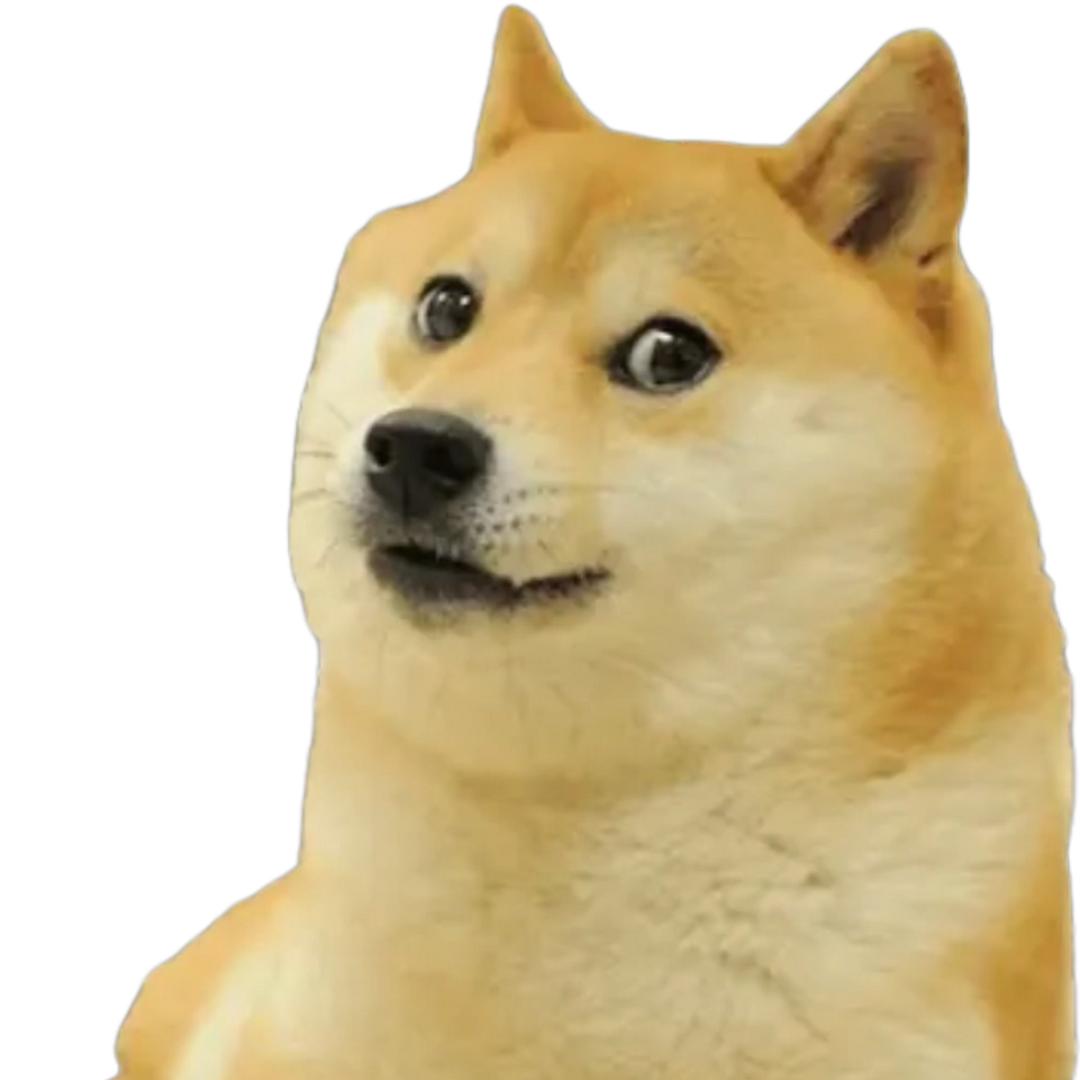 蛋黄mo