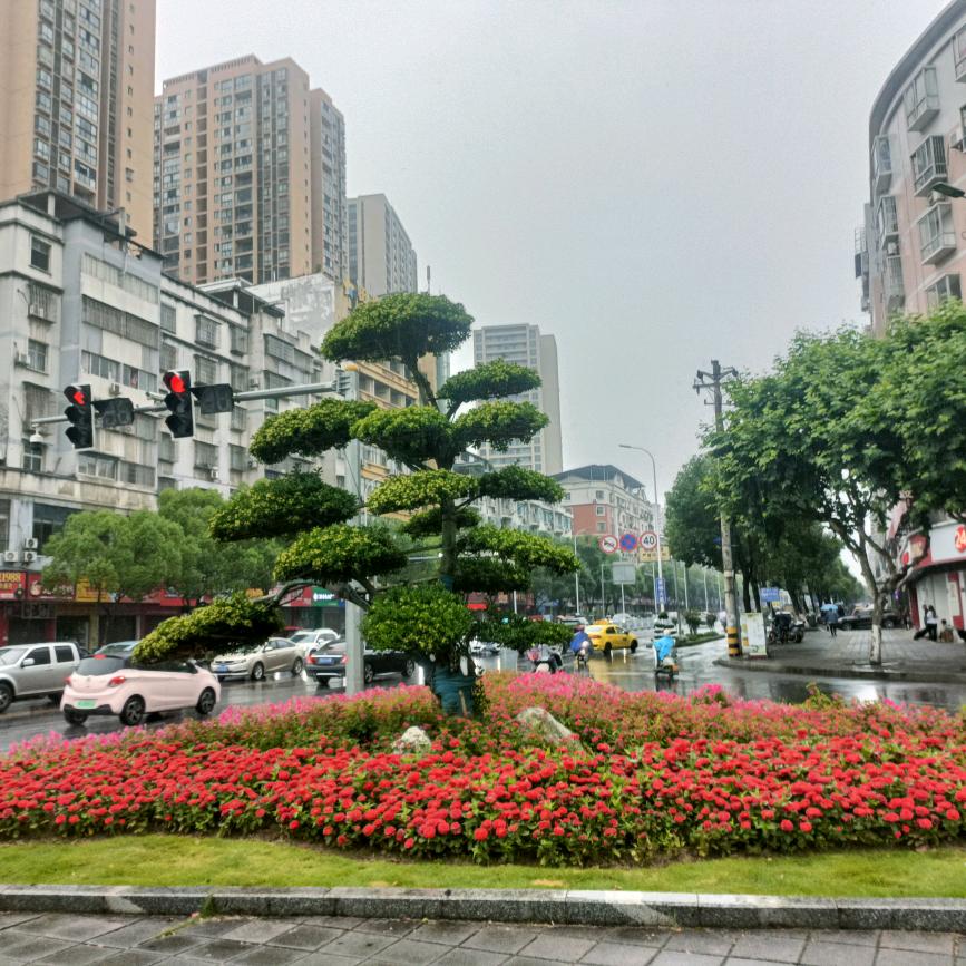 冠宇2
