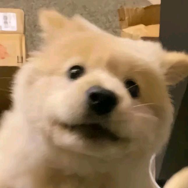 僖僖要嘻嘻😁