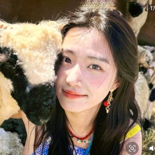 泥等着寿司吧