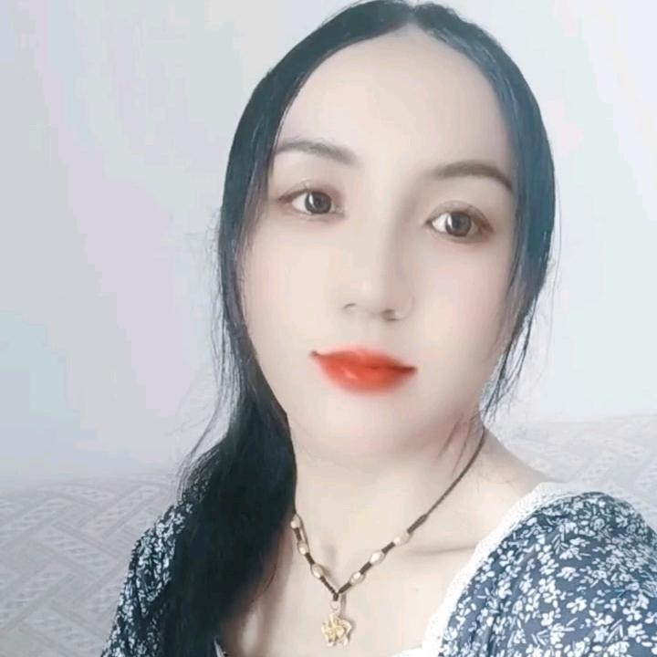 紫色蔷薇