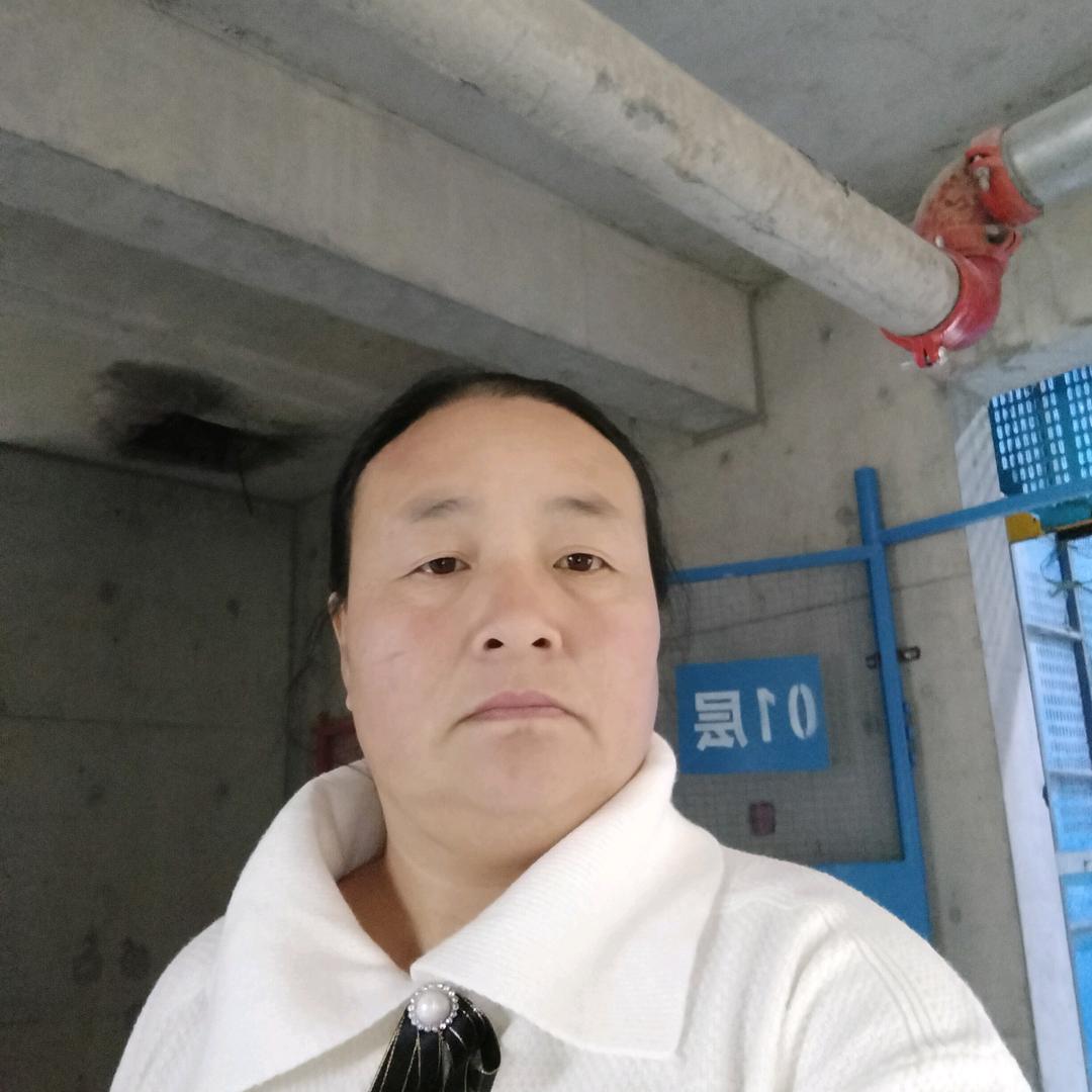 太阳花